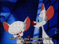 Pinky And The Brain Pinky You Pondering GIF