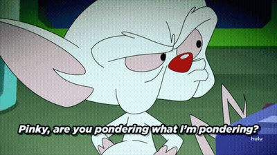 Pinky And The Brain Pondering What I'm Pondering GIF