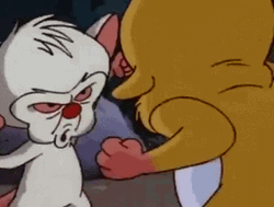 Pinky And The Brain Snowball Nut Shot GIF 