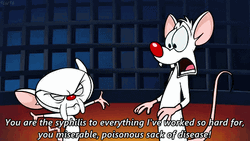 Pinky And The Brain Syphilis To Everything GIF