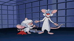 Pinky And The Brain Tight Hug GIF