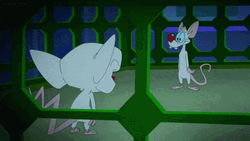 Pinky And The Brain We're Taking Over GIF