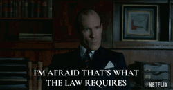 Pip Torren's Take About The Law GIF