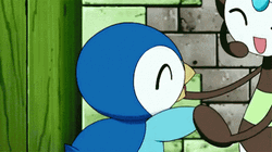 Piplup And Friends GIF