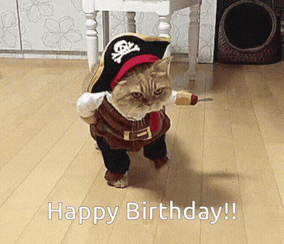 Pirate Cat Happy Birthday GIF