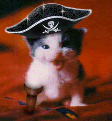 Pirate Cat Sparkling