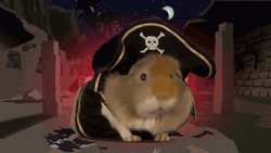 Pirate Hamster Arrrggh