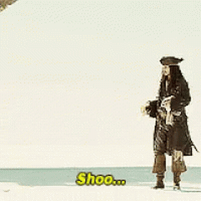 Pirate Man Standing On Beach GIF