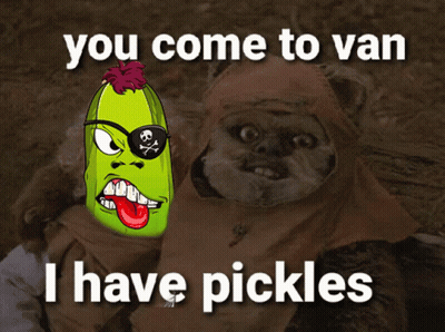 Pirate Pickle You Come To Van I Have Pickles GIF