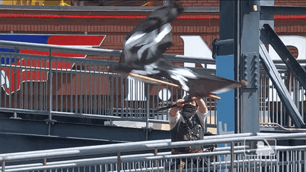 Pirate Raising Double Jolly Roger GIF