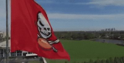 Pirate Ship With Skull In Stadium GIF