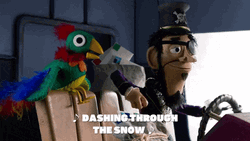 Pirate Talking To His Parrot While Driving GIF