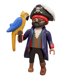 Pirate Talking To Parrot