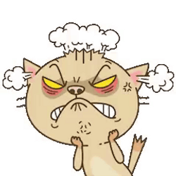 Pissed Off Cat GIF