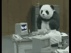 Pissed Off Mascot Panda GIF