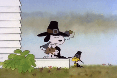 Pissed Off Peanuts Snoopy Thanksgiving GIF