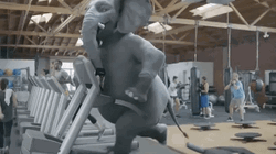 Pistachio Elephant Working Out
