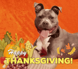 Pit Bull Animated Happy Thanksgiving GIF