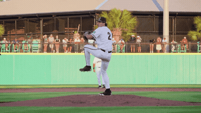 Pitcher With Number 2 Jersey About To Throw GIF