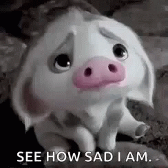 Pitiful Cow See How Sad I Am GIF