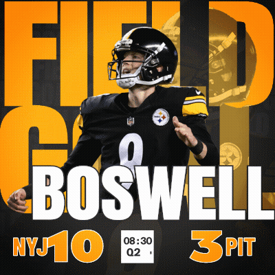 Pittsburgh Steelers Football Poster GIF