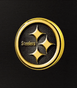 Pittsburgh Steelers Logo Team GIF