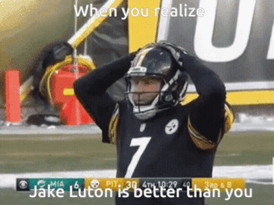 Pittsburgh Steelers Mascot On Field GIF