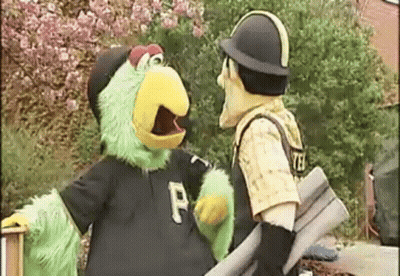 Pittsburgh Steelers Pittsburgh Pirates GIF