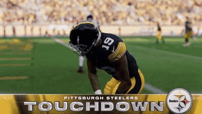 Pittsburgh Steelers Touchdown Advertisement GIF