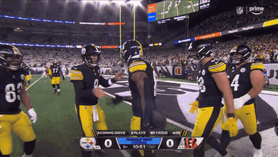 Pittsburgh Steelers Vs Washington Redskins GIF