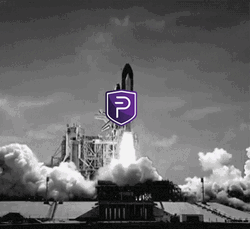 Pivx Rocket Launch GIF