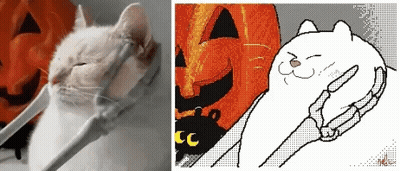 Pixel Art Cat Pumpkin With Letter CC GIF