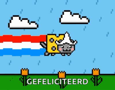 Pixel Art Cat With Cheese on Head Gefeliciteerd