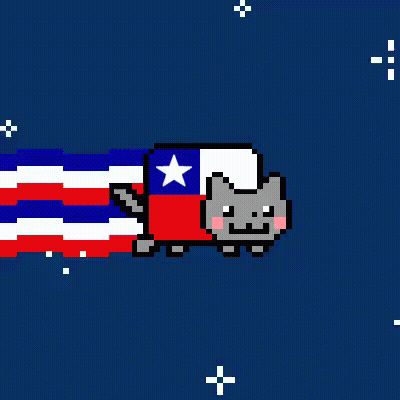 Pixel Art Cat With Red White And Blue Flag GIF