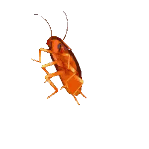 Pixel Art Cockroach Sticker
