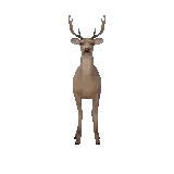 Pixel Art Deer Standing Sticker