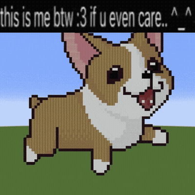 Corgi GIFs