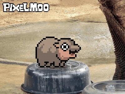 Pixel Art Elephant Sitting In Water GIF