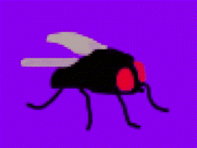 Pixel Art Fly With Red Eyes On Purple Background GIF