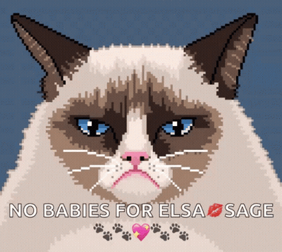 Pixel Art Grumpy Cat No Babies For Elsa Sage GIF
