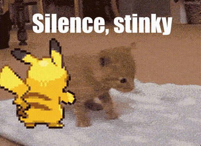 Pixel Art Pikachu And Kitten Silence Stinky GIF