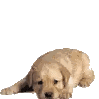 Pixel Art Puppy Standing Sticker