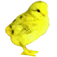 Pixel Art Red And Yellow Bird Sticker