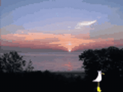 Pixel Art Sunset With Bird GIF
