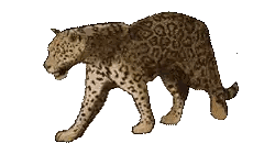Pixel Leopard Walking Mouth Open Sticker