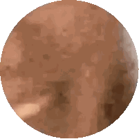 Pixelated Brown And White Circle Sticker