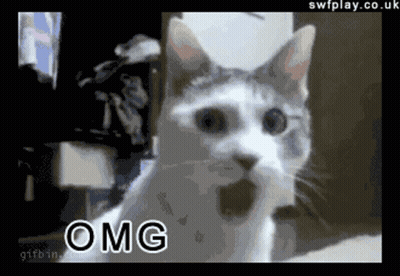 Pixelated Cat OMG GIF