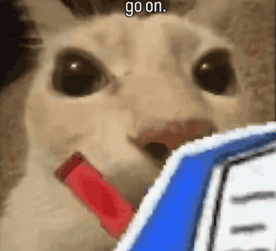 Pixelated Cat Saying Go On GIF