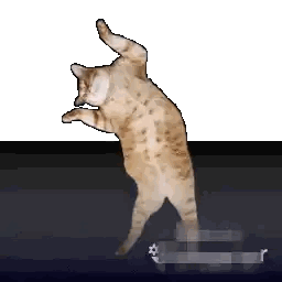 Pixelated Cat Standing On Hind Legs Sticker