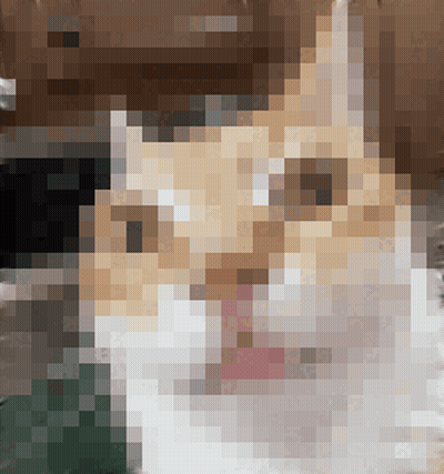 Pixelated Cat Sticking Out Pink Tongue GIF